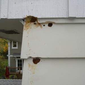 Exterior home damage inflicted by woodpecker.