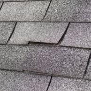 Buckling shingles will crack and tear if not addressed.