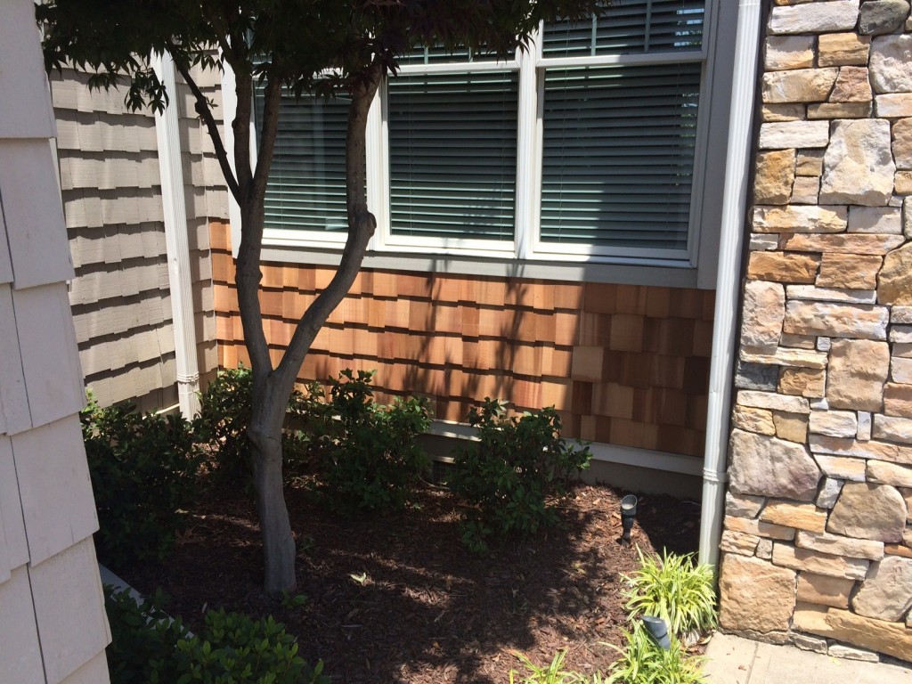 Completed window and siding replacement at the Penninsula: