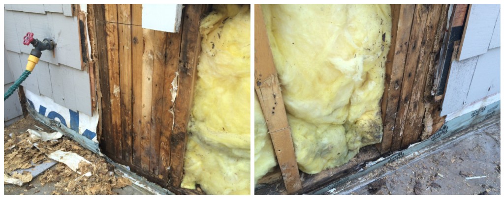 Mold discovered at project:
