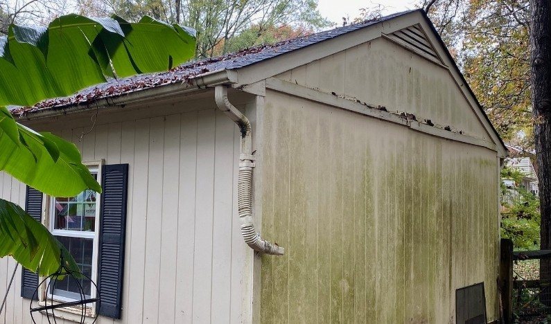 Before: a gable end streaked with mildew and green growth up the siding.