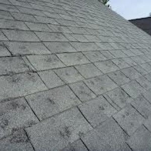 "Bruising" on roof caused by hail damage.