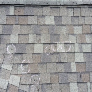 Circled hail damage on South Charlotte roof