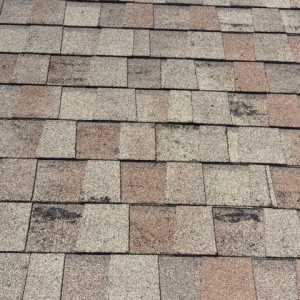 Hail damage in Balantyne area of Charlotte NC