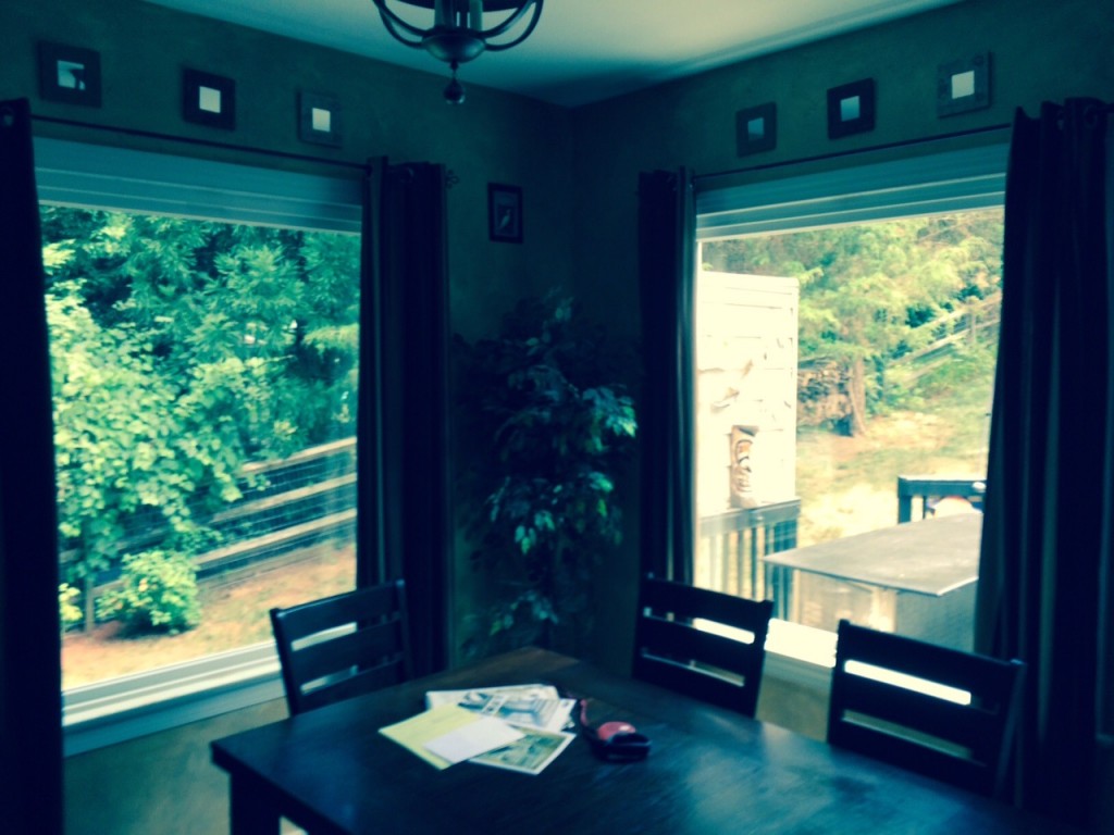 Huntersville, NC, after new window replacement.