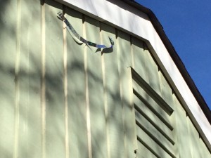 South Charlotte home outfitted with "streamers" to deter woodepeckers and carpenter bees