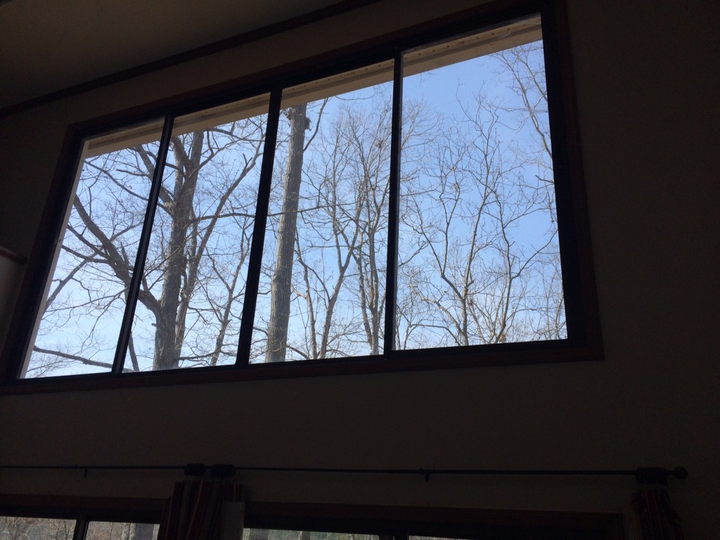 Matthews Lakehouse replacement windows