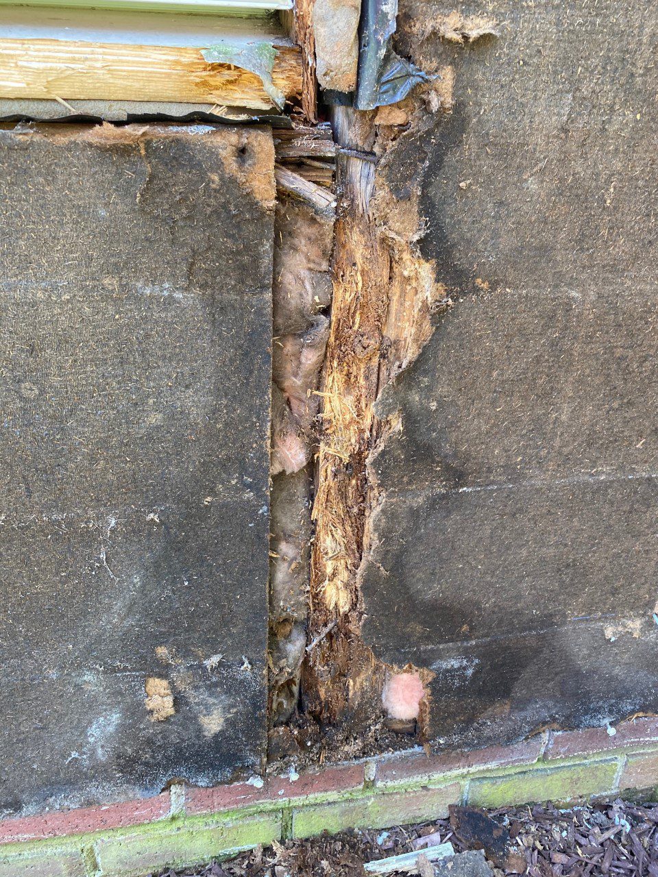 details of rot