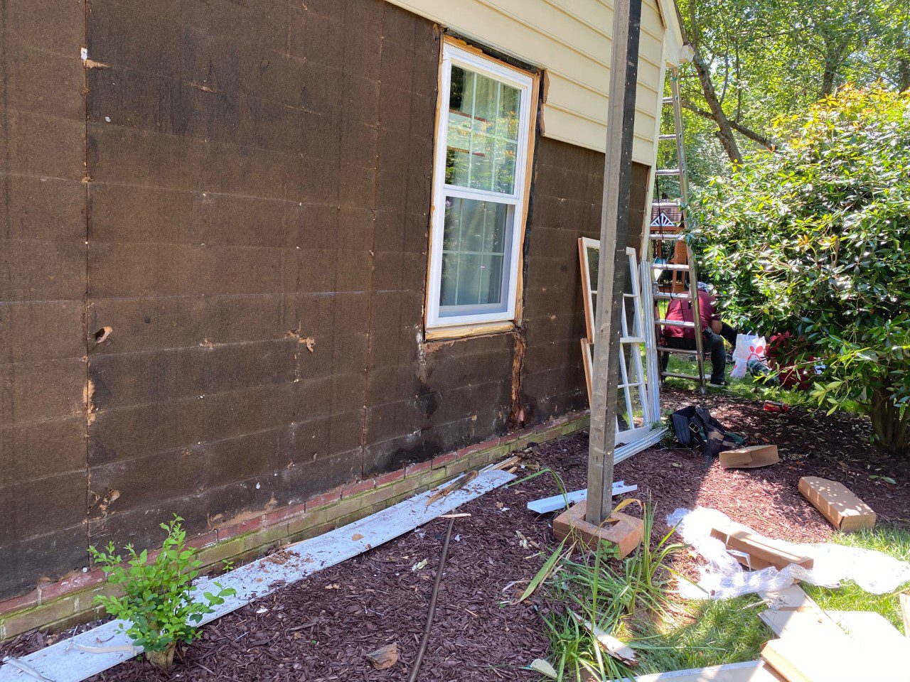 rot behind masonite discovered