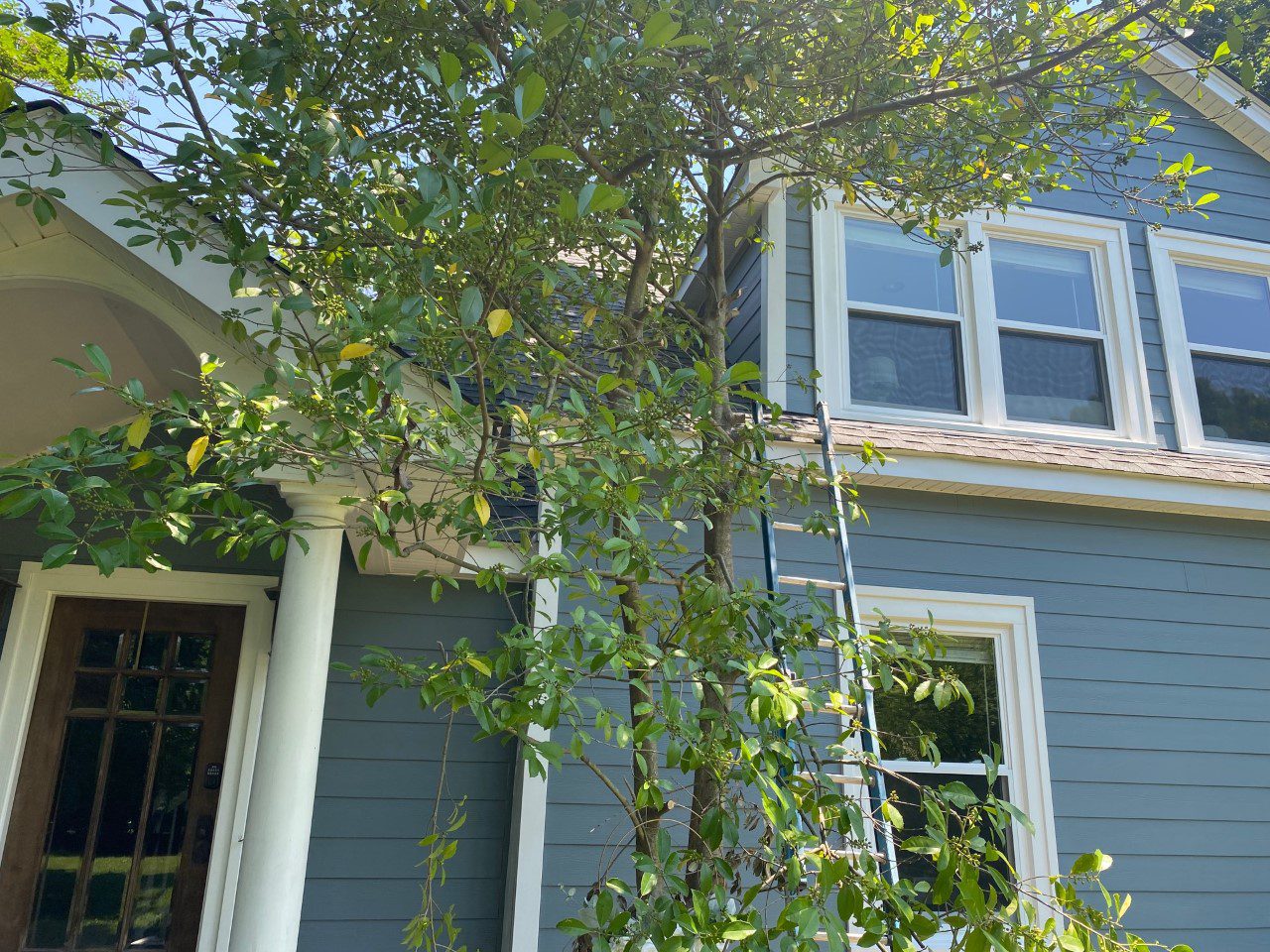 charlotte Hardie® Plank contractor